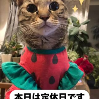 Instagram 更新！