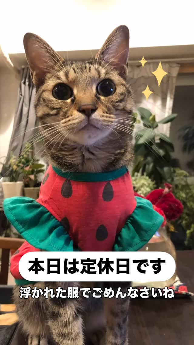 Instagram 更新！