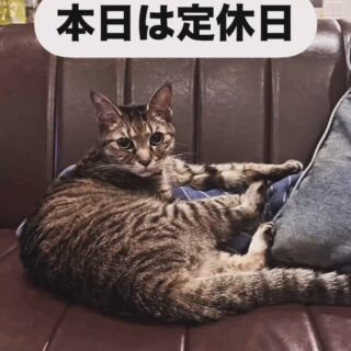 Instagram 更新！