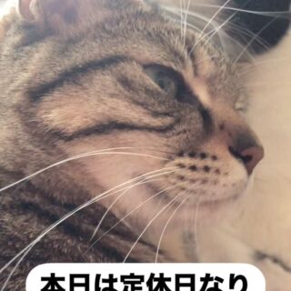 2025.6.19(Thu) 本日は定休日でございやす。 土曜日は貸切営業…