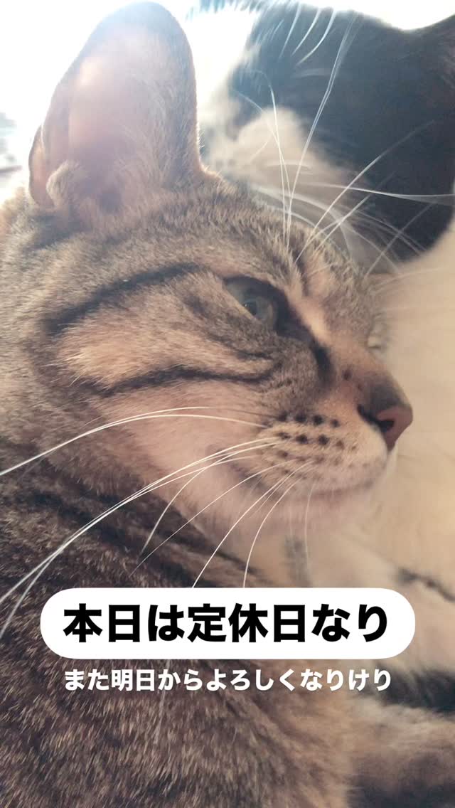 Instagram Photo