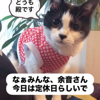 余音はんから聞いてんけど こっそ…