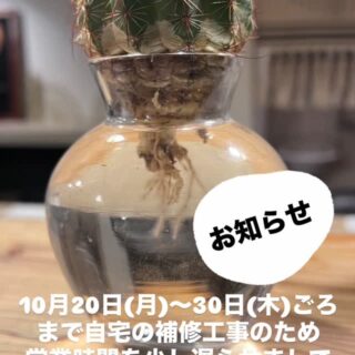 10月20日(月)〜30日(木)あたりまで…