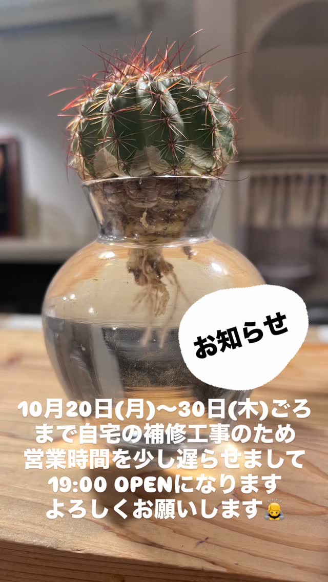 Instagram Photo